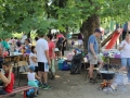 szenczi dök nap 2015 (15)