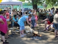 szenczi dök nap 2015 (25)
