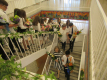 Ballagas_2021_11