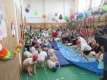Farsang_26