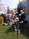 20180412_125906