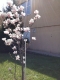 20180412_125928